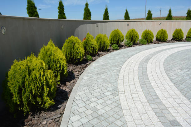 Best Driveway Pavers Near Me  in Santee, SC